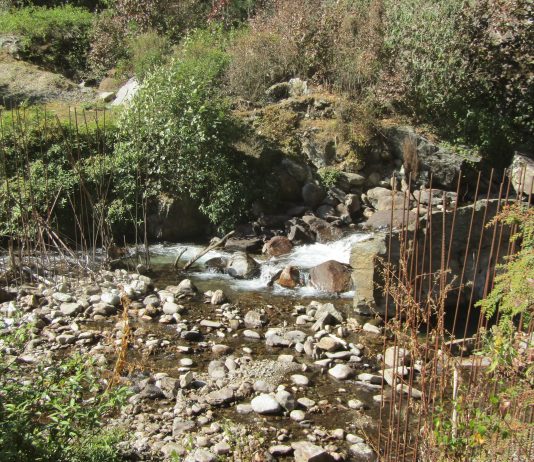 ३ बर्ष देखि अलपत्र क्यामा पुल