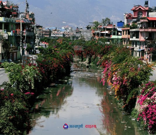 धोवीखोलाको दुर्गन्धलाई भुलाइदिने ती फूलहरू … (फोटोफिचर)