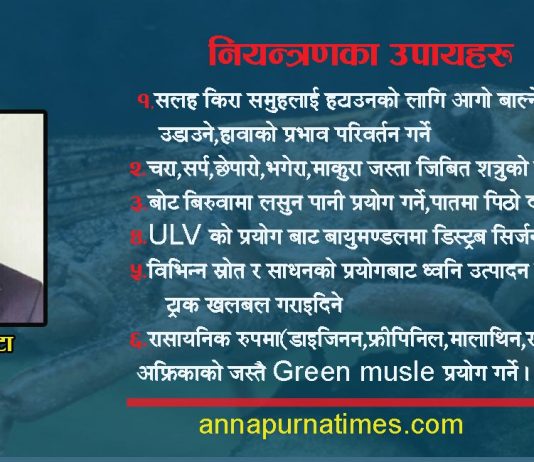 कोरोनासंगै अर्को महामारी रोक्न ‘सलह किरा’को पूर्व नियन्त्रणमा लागौं
