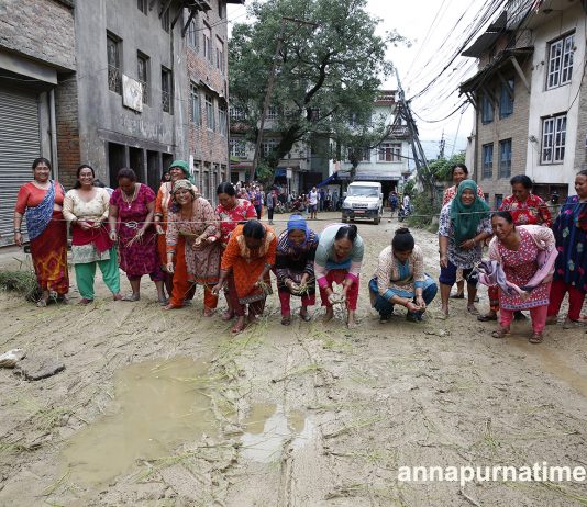 हरिसिद्धि–गोदावरी सडक अवरुद्ध, स्थानीयले सडकमै गरे रोपाइ (फोटोफिचर)