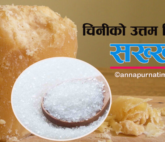 चिनीको उत्तम विकल्प सख्खर, यसरी खाए फाइदै फाइदा