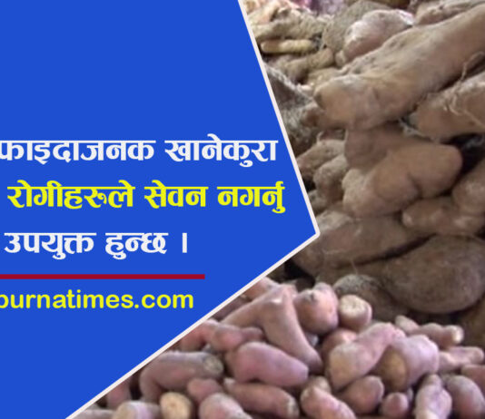 कन्दमुल किन खाने ? यस्ता छन् फाइदा र बेफाइदा