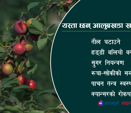 यस्ता छन् आलुबखडा खानुको फाइदा