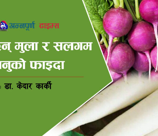 यस्ता छन् मुला र सलगम खानुको फाइदा
