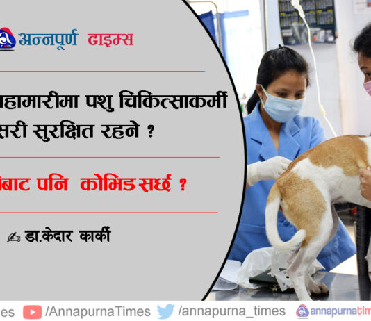 कोभिड–१९ महामारीमा पशु चिकित्साकर्मी कसरी सुरक्षित रहने ?