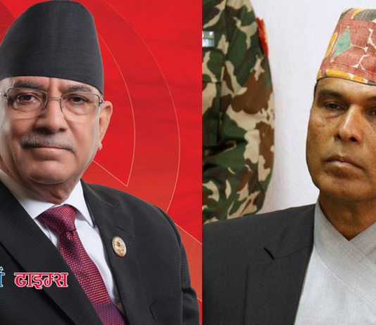 प्रचण्ड भागेको ठाउँ चितवन- ३ बाट राप्रपाका पाण्डे निर्वाचित