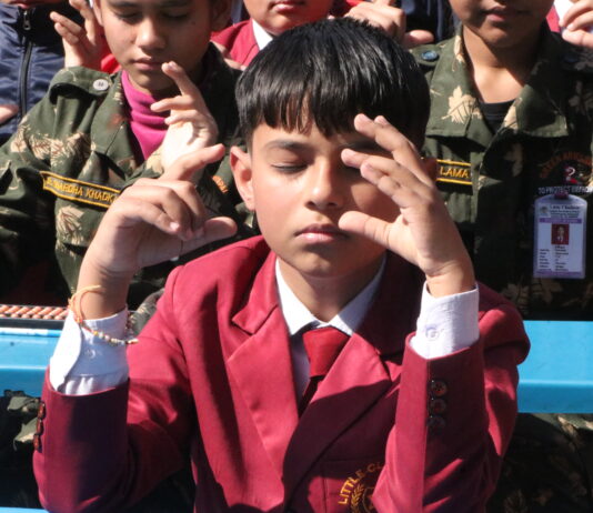 लिटिल क्लाईम्बर्समा अबाकस, राष्ट्रिय ट्रफी उचालेरै छाड्ने दाउ