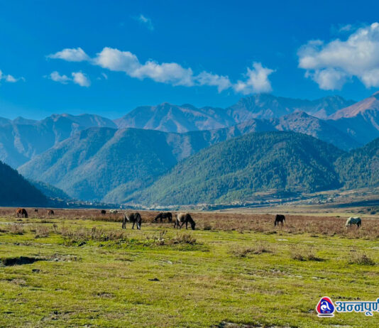 ढोरपाटन : जहाँ भेटिन्छ पहाडको शोभा, मैदानको हरियाली र मनमोहक दृश्य (तस्वीरहरू)