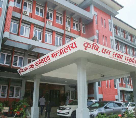 गाभिए मन्त्रालय, राखियो नयाँ साइन बोर्ड तस्विरहरु)