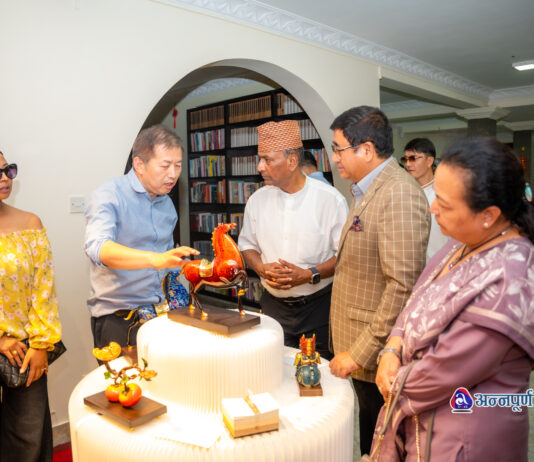 चिनियाँ सांस्कृतिक केन्द्रमा ‘गुओछाओ’ नवप्रवर्तन प्रदर्शनी (तस्वीरहरू)