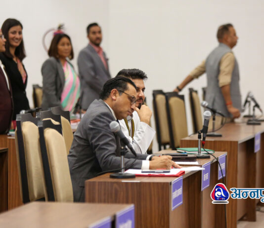 सभामुख प्रवेश गर्दा यी दुई मन्त्री नउठेपछि…