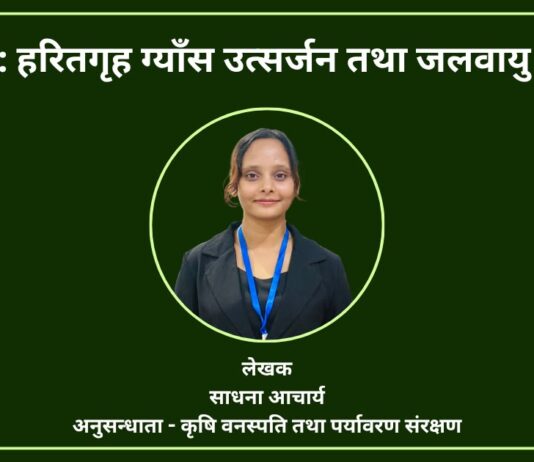 धान खेती: हरितगृह ग्याँस उत्सर्जन तथा जलवायु परिवर्तन